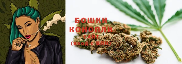 шишки Нефтегорск