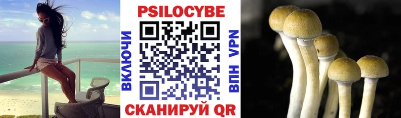 Галлюциногенные грибы мицелий  Николаевск 