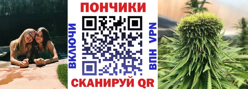 Шишки марихуана MAZAR  Николаевск 